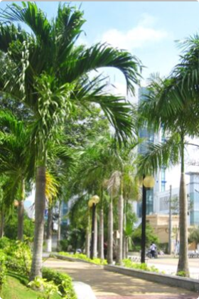 Dự án thi công