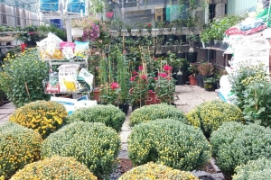 Tầm nhìn