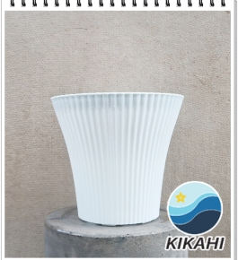 SỌC GÂN 02
