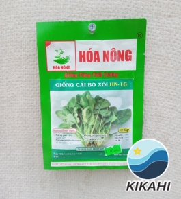 GIỐNG CẢI BÓ XÔI HN-16