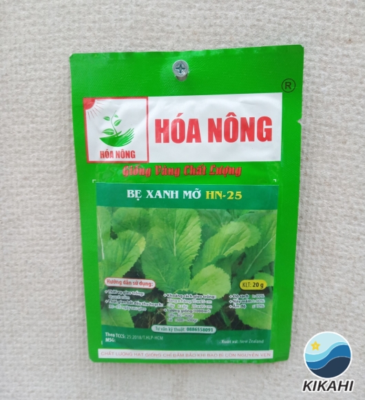 CẢI BẸ XANH MỠ HN-25