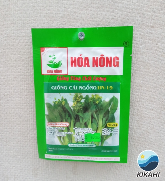 GIỐNG CẢI NGỒNG HN-19