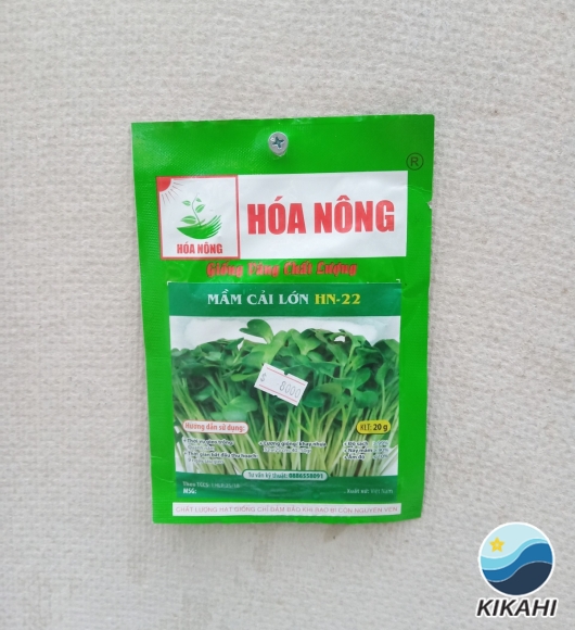 MẦM CẢI LỚN HN-22