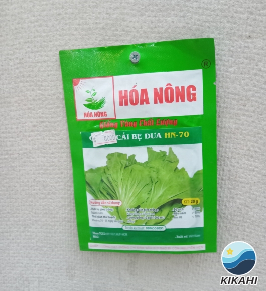CẢI BẸ DƯA HN-70